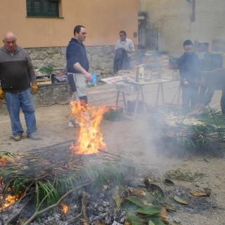 Calçotada 2010 ( El Casal de Llavaneres )