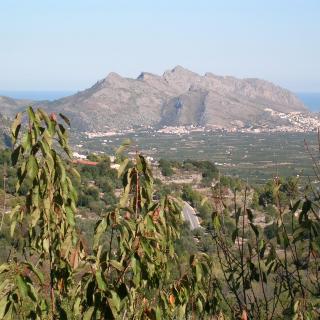 Vista de la serra de Segària i de la mar de Dènia i els Poblets desde La Vall de Laguar