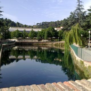 La bassa, surgencia natural de l'aqüífer Carme-Capellades