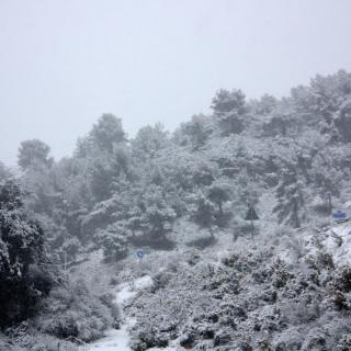 Muntanyes nevades a la zona d'Olèrdola (horitzontal) La neu col·lapsa l'autovia C-15 entre Vilanova i la Geltrú i Vilafranca del Penedès