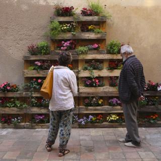 Jardineres amb palers a Can Farran, al carrer Jovara de Calella, 