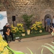 Girona: Temps de Flors, fotos de ambient per veure las aglomaracions de gent.  457#Joan Sabater