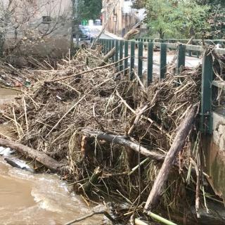 Una pila de terra, arbres i canyes han quedat encallades al pont del riu Onyar, al seu pas per la Creueta
