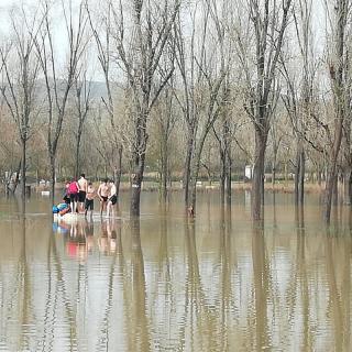 Banyistes a la zona de la Draga de Banyoles, que està inundada