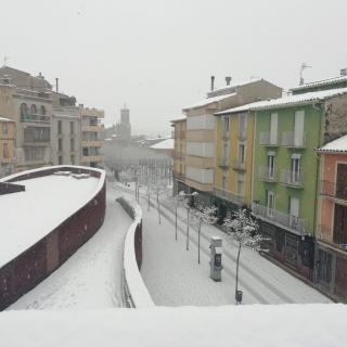 El municipi d'Olot, emblanquinat per la neu
