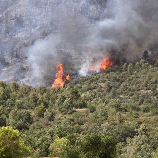 Vista de les flames a l'incendi forestal de Baldomar, a la Noguera