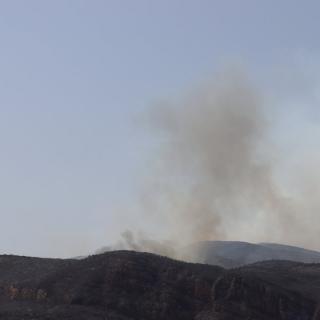 Columna de fum a l'incendi forestal de Baldomar, a Artesa de Segre
