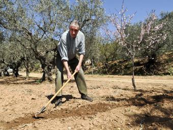 Alfred Vilar, de 67 anys, ara jubilat del tot, treballa al camp ajudant el pagès Salvador Cañellas Ramon Ferrandis