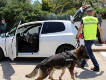 Un agent amb un gos durant els escorcolls ACN