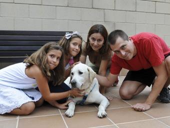 Una família que ha adoptat un gos malalt Ramon Ferrandis