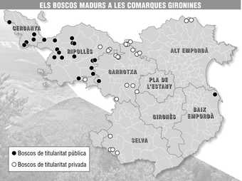 Mapa de les comarques gironines amb la situació dels boscos madurs que formen part de la xarxa que ha creat la Diputació