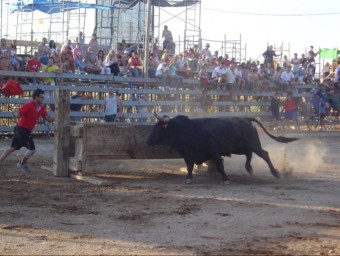 Camarles, amb els bous del desembre tancarà la temporada taurina a l'Ebre. EL PUNT AVUI