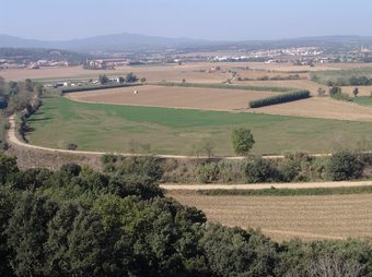 Imatge de la plana agrícola per on passaria l'opció nord de la variant de la Bisbal, vista des del Castell d'Empordà. O.M