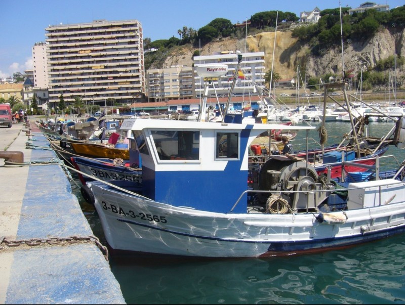Barques de la flota artesanal amarrades al port d'Arenys on s'ha fet una de les proves pilot de turisme pesquer. LL.A