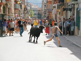 Una imatge d'arxiu de bous al carrer a les festes majors d'Ulldecona.  EL PUNT