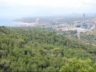 La línia arribarà soterrada a la costa prop de la nuclear, en paral·lel al tub de captació de la central de cicle combinat J. PRADES