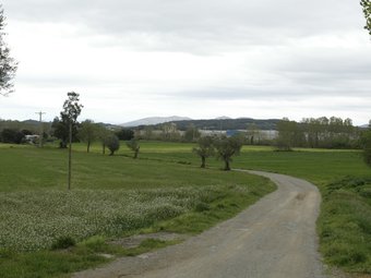 Terrenys al voltant de Fonteta, per on es projecte el traçat sud de la variant. EUDALD PICAS