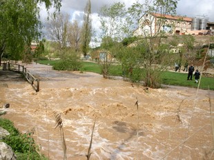 El riu Francolí, al seu naixement, inunda part del parc fluvial, a l'Espluga.