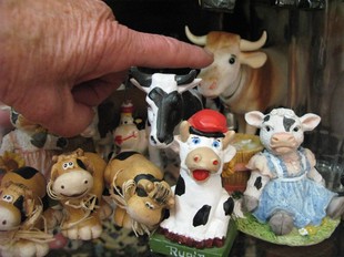 Vaques en miniatura de la col·lecció de Rosa Lloveras.  NÚRIA FORNS