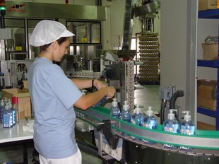 Maverick té una plantilla de 240 treballadors a Ulldecona.  L.M