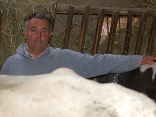 El ramader de Das, fotografiat l'estable on té les vaques motiu de la polèmica.  MIQUEL SPA