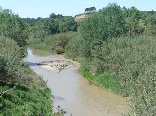 Una imatge del riu Anoia, on s'haurien detectat els abocament al maig de 2008.  A.M