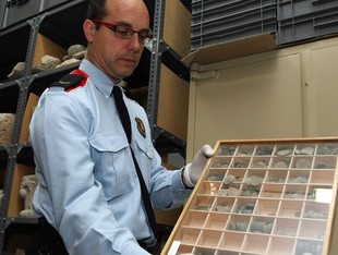 Un agent mostra algunes de les peces confiscades, al magatzem del MAC.  ORIOL DURAN