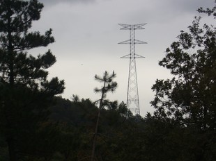 Una de les torres aixecades darrerament a la Selva. J.C