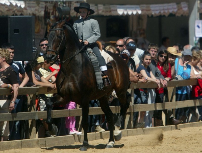 Concurs de doma en una edició de la Fira del Cavall al Vallès. GABRIEL MASSANA