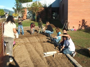 Un grup d'alumnes en plena acció a l'hort ecològic de l'escola.  EL PUNT