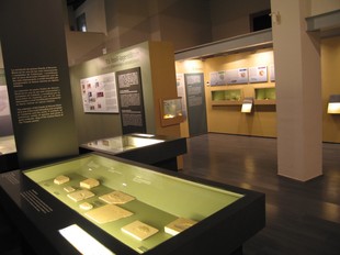 El Museu d'Alcover exhibeix una valuosa col.lecció de fòssils.  A. ESTALLO