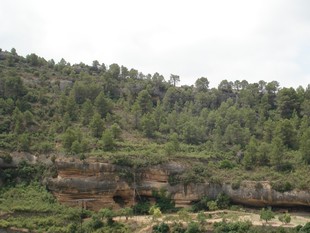 La balma del Filador és un gran abric d'uns cent metres de longitud, situat al riu Montsant al seu pas per Margalef. És el referent obligat de l'Epipaleolític a la zona.  EL PUNT