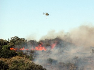Un helicòpter treballa en l'extinció de l'incendi d'Agramunt, ahir al a tarda.  ORIOL BOSCH / ACN