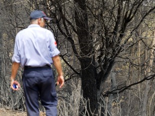 Un bomber observava ahir, desolat, els efectes del devastador incendi.  JUDIT FERNÀNDEZ