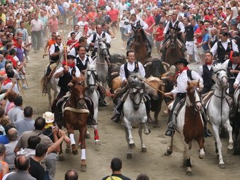 Entrada de bous i cavalls de Sogorb. EL PUNT