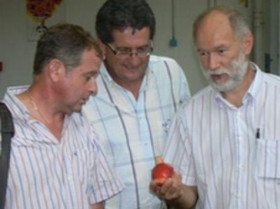 Yves Aris -a l'esquerra- i Dominique Barrau -al centre- durant la visita en una cooperativa de fruita a Illa aquest dimarts. /  FDSEA