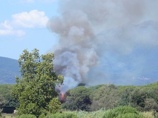 L'incendi ha afectat una zona boscosa entre els municipis de Sant Antoni de Vilamajor i Cardedeu.  ORIOL RAMOS