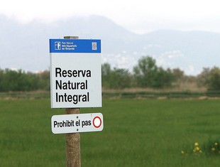 Els límits del parc natural dels Aiguamolls de l'Empordà queden com estaven en la proposta inicial.  MANEL LLADÓ