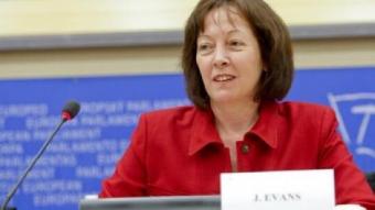 L'eurodiputada gal·lesa Jill Evans, ahir a l'eurocambra. /  ACN