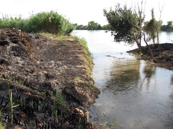 Medi Ambient ha retirat la vegetació d'un tram del marge esquerre del riu.  ACN