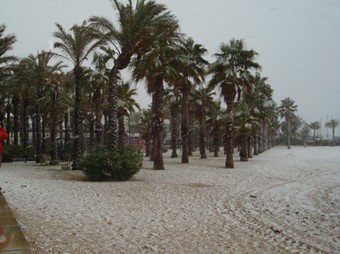 Palmeres, platja i neu, ahir a Salou. /  EL PUNT