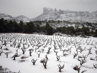 Una vista de la muntanya de Montserrat nevada.  ANDREU PUIG