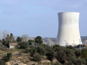 Una imatge dels terrenys agrícoles que l'Ajuntament d'Ascó va adquirir el 2007, amb la nuclear al fons. ACN