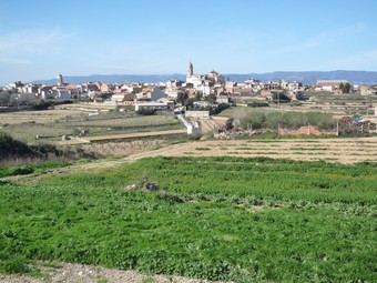 Vilabella des de l'est, envoltada de conreus, a peu del camí que condueix als meandres del Gaià. J.S