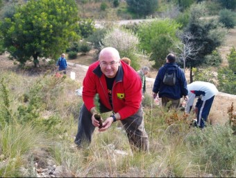 Joan Francesc Peris participa d'una campanya de reforestació. ARXIU