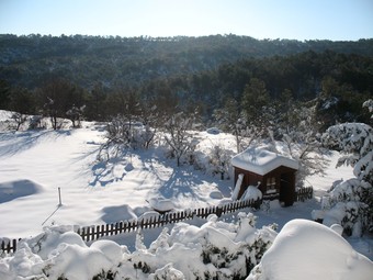 Imatge de la nevada a Pontons J. Ríos