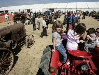 L'exposició de tractors antics és una de les tradicionals de la fira.  EUDALD PICAS