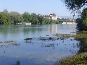 El riu Ebre ahir al seu pas per Tortosa.  L.M