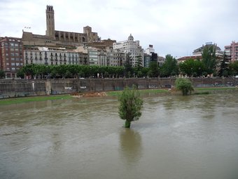 El riu Segre inunda aquests dies bona part de la canalització al seu pas per Lleida.  D.M