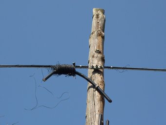 Part d'un cable de coure que van tallar els lladres d'un pal telefònic de la Pera. Ò.P